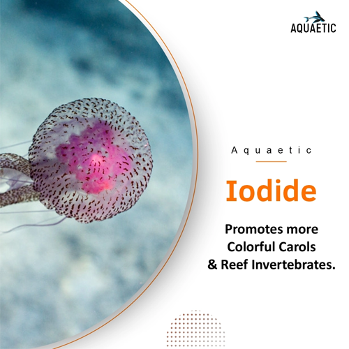 Aquaetic Iodide - DAWN SCI