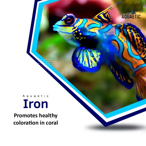 Aquaetic Iron - DAWN SCI